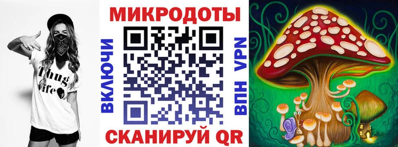 купить  цена  Пролетарск  Галлюциногенные грибы Psilocybe 
